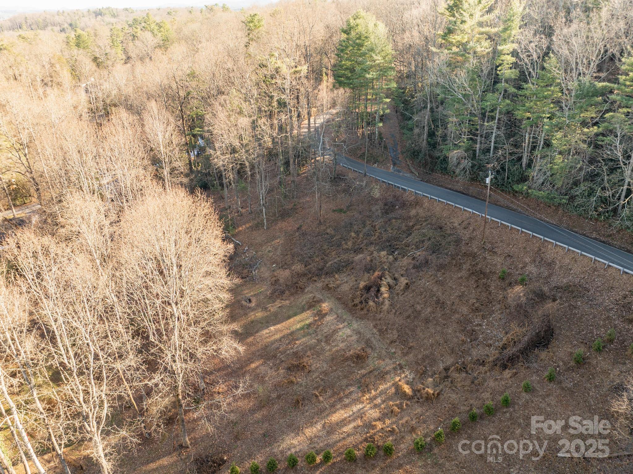 Tbd Davis Mountain Road Hendersonville, NC 28739 - Photo 4 of 10 a view of a forest with trees in the background
