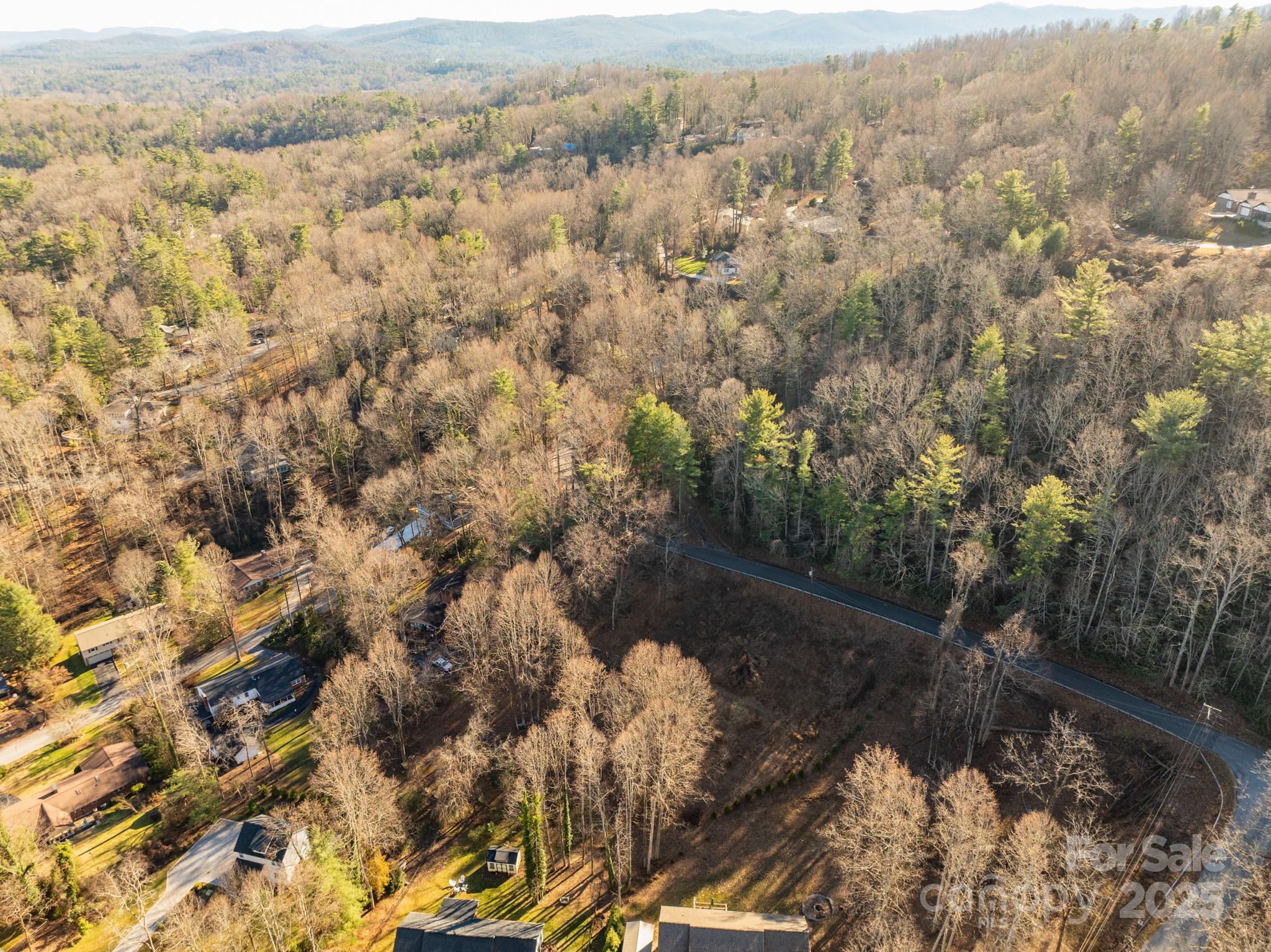 Tbd Davis Mountain Road Hendersonville, NC 28739 - Photo 7 of 10 a view of a yard with a mountain
