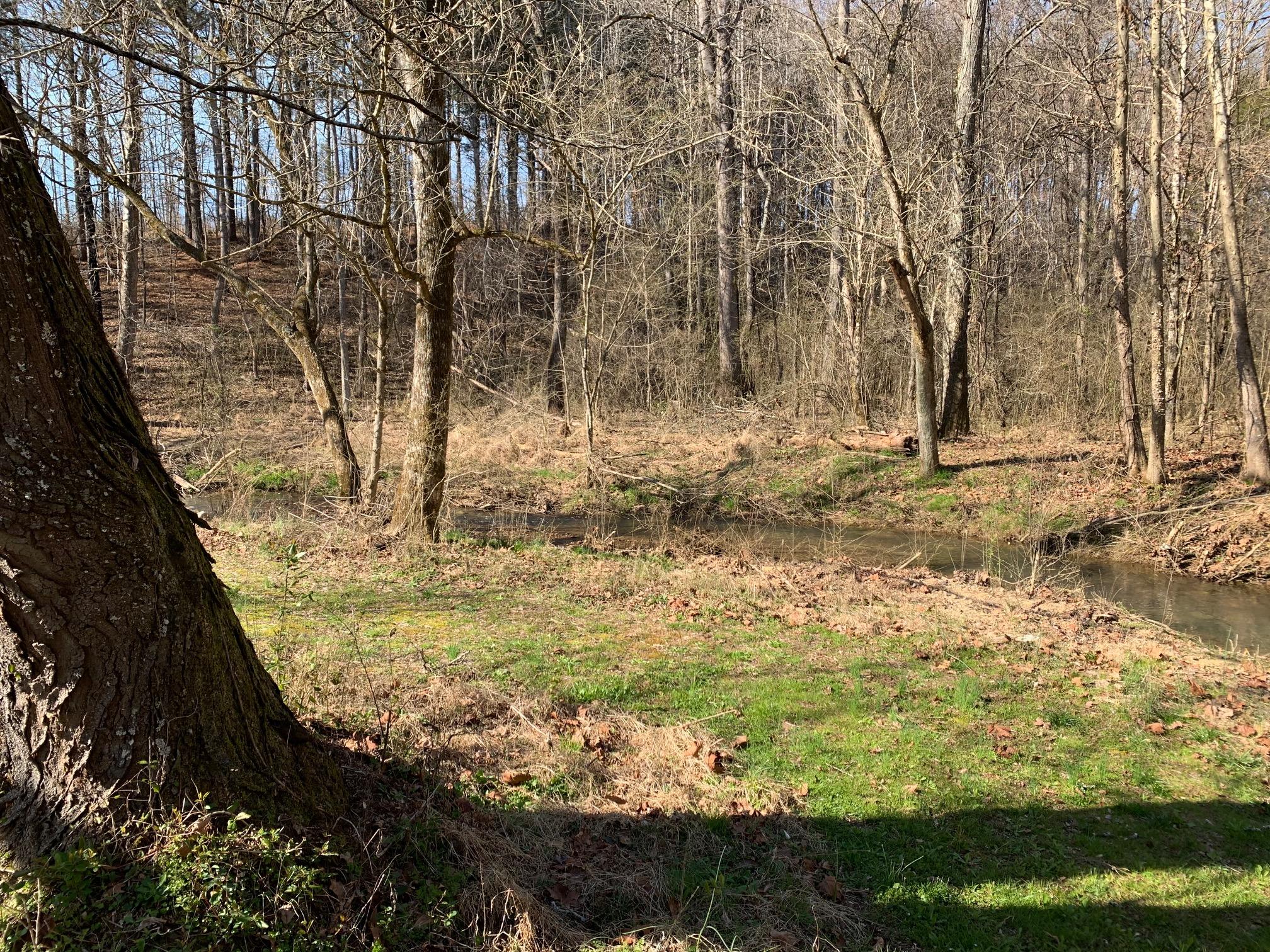 14789 Watkins Road East Loudon, TN 37774 - Photo 6 of 6 Creek