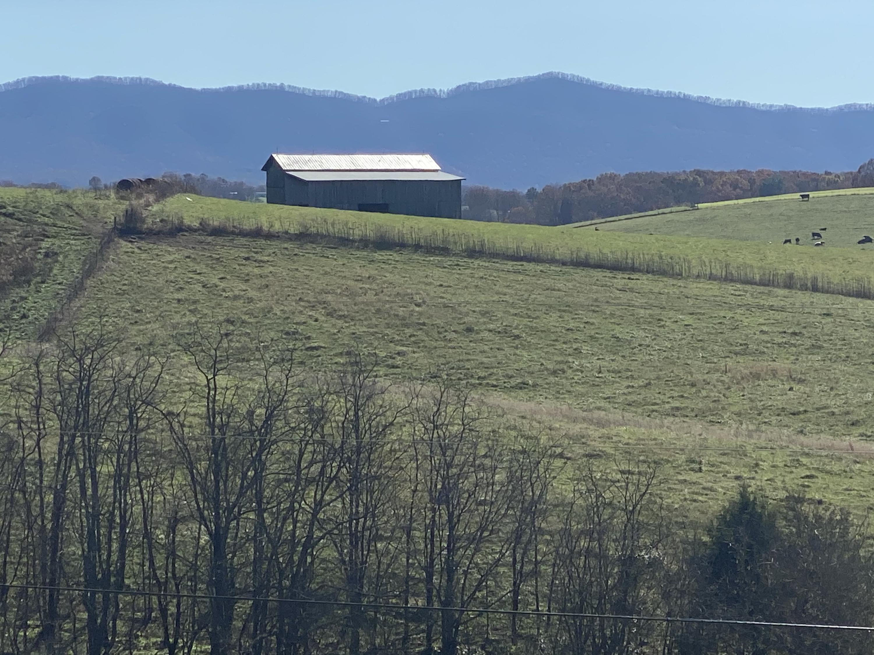 65 Gregg Mill Road Greeneville, TN 37743 - Photo 2 of 37 IMG_0413
