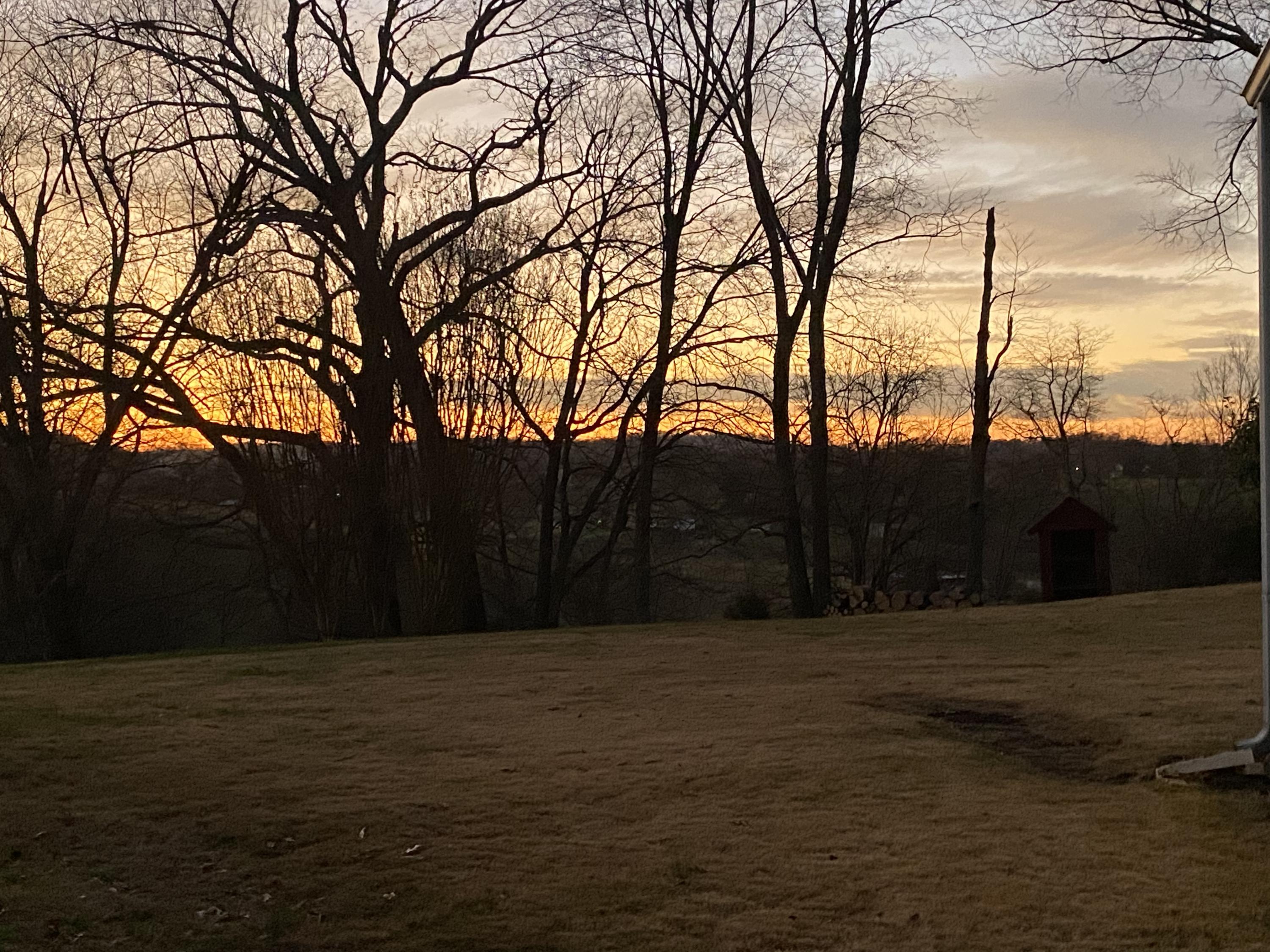 65 Gregg Mill Road Greeneville, TN 37743 - Photo 31 of 37 IMG_0869