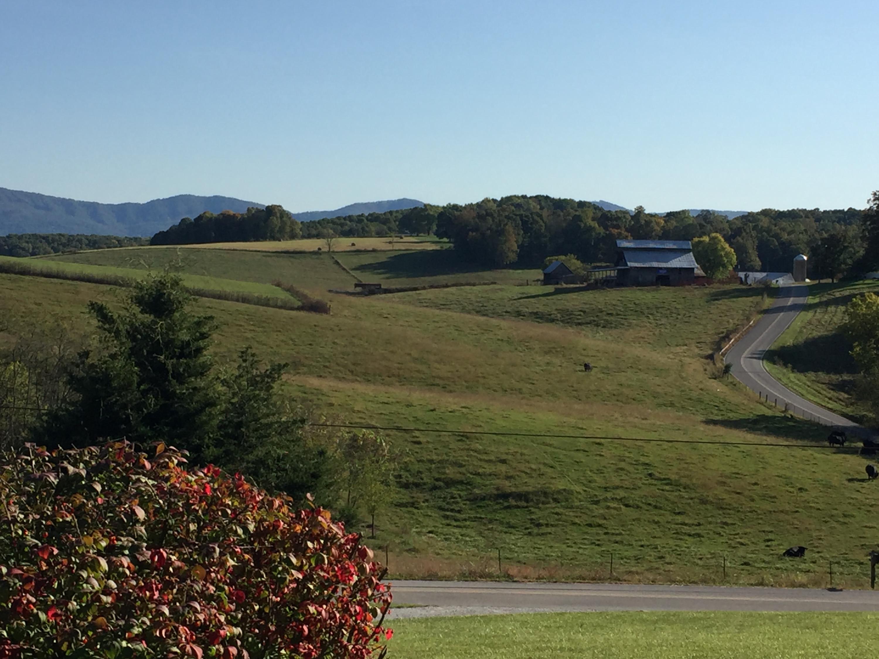 65 Gregg Mill Road Greeneville, TN 37743 - Photo 32 of 37 IMG_8255