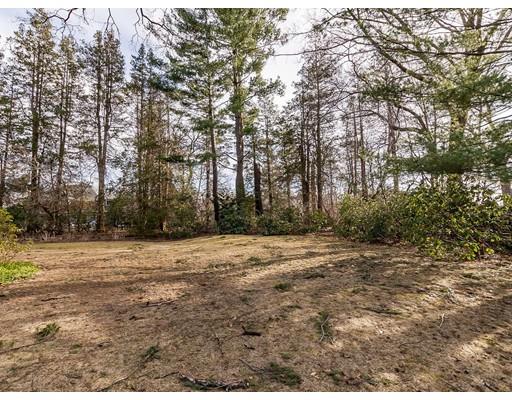 44 Mignon Road Newton, MA 02465 - Photo 19 of 23 a view of dirt yard with a large tree