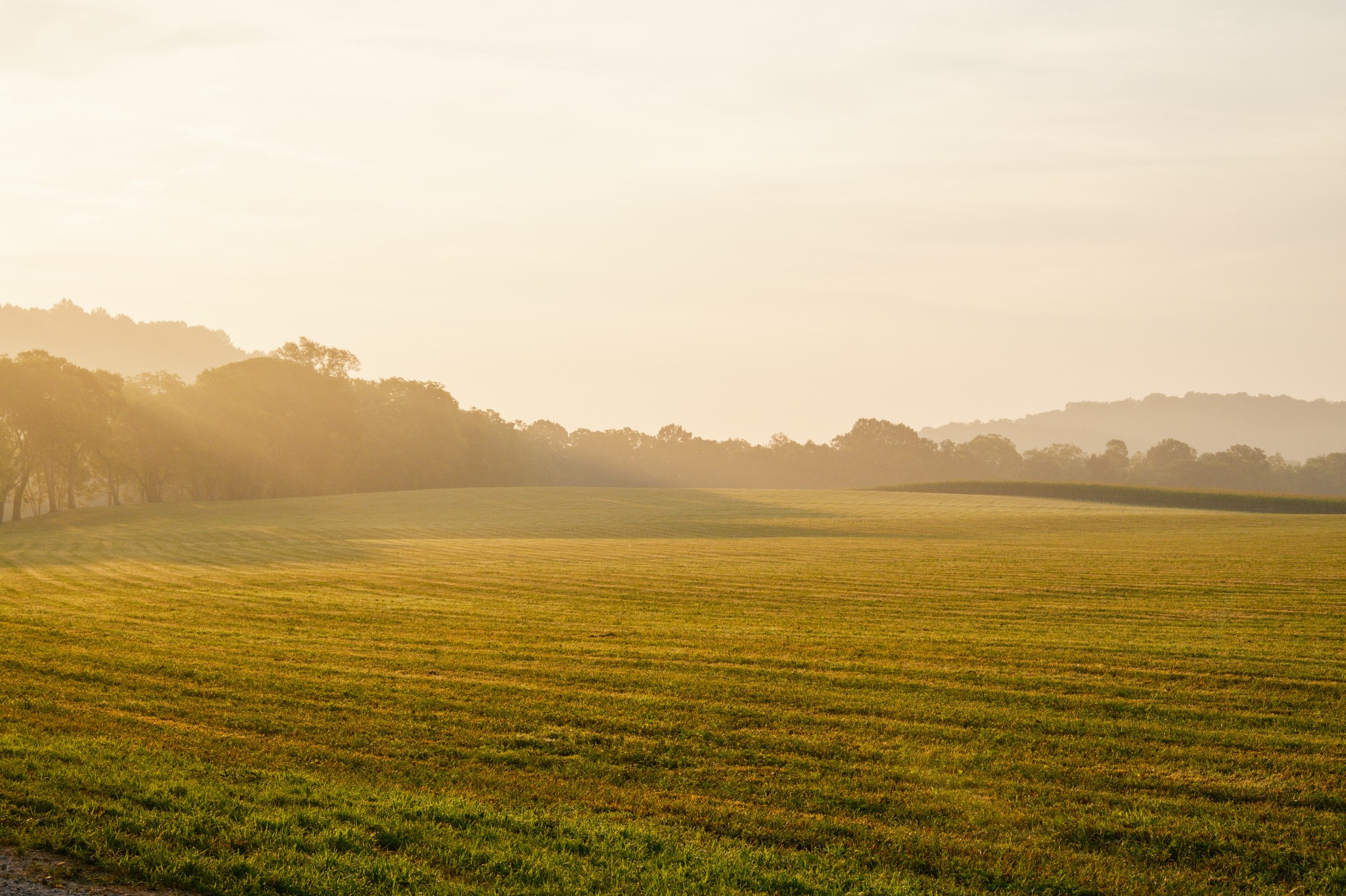 3530 Bailey Road Franklin, TN 37064 - Photo 13 of 99