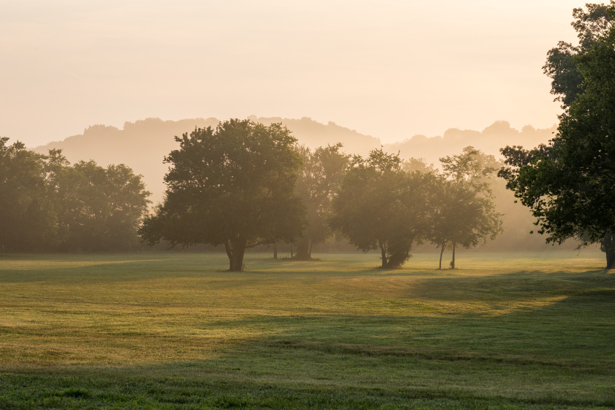 3530 Bailey Road Franklin, TN 37064 - Photo 4 of 99