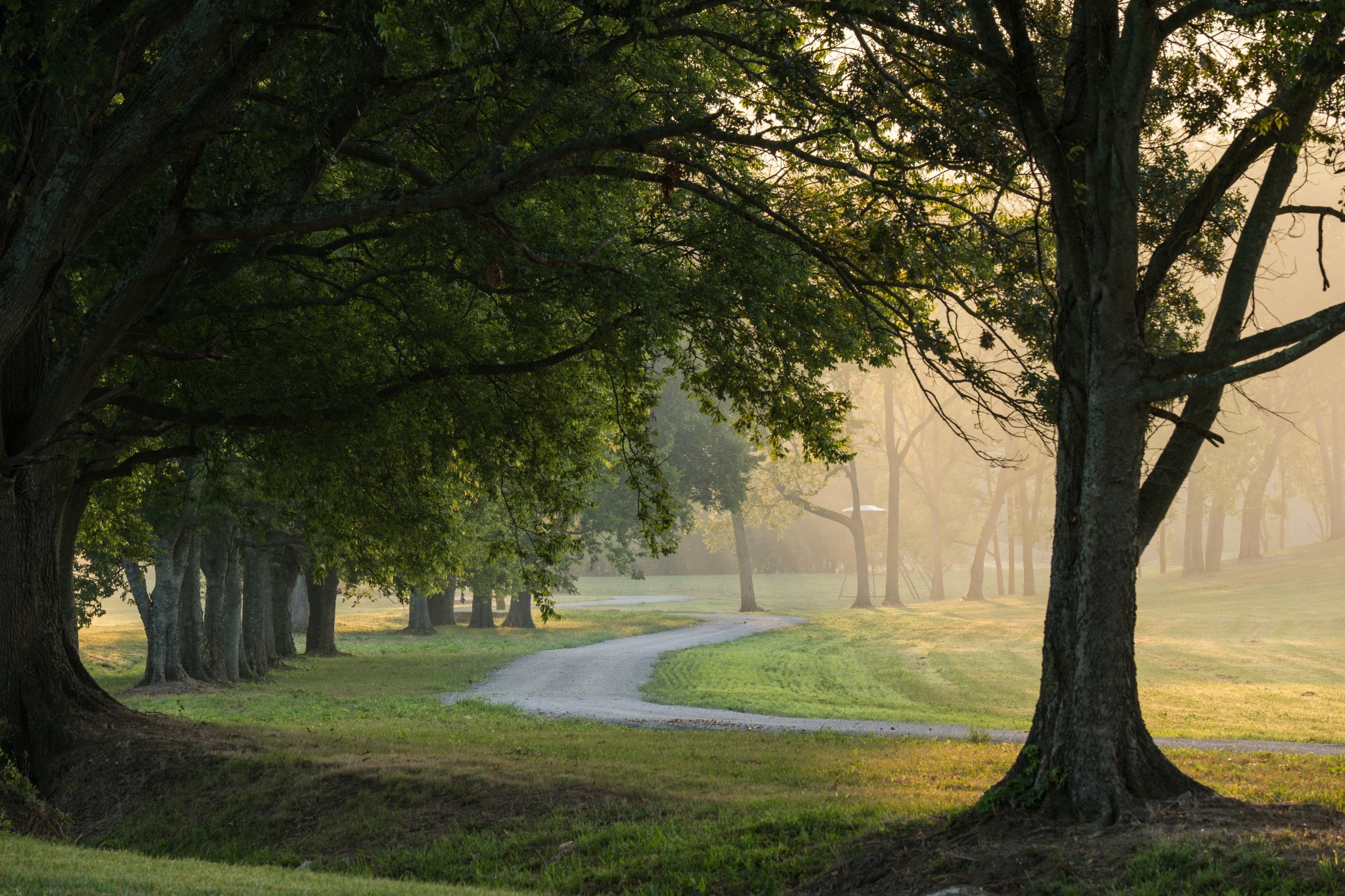 3530 Bailey Road Franklin, TN 37064 - Photo 5 of 99