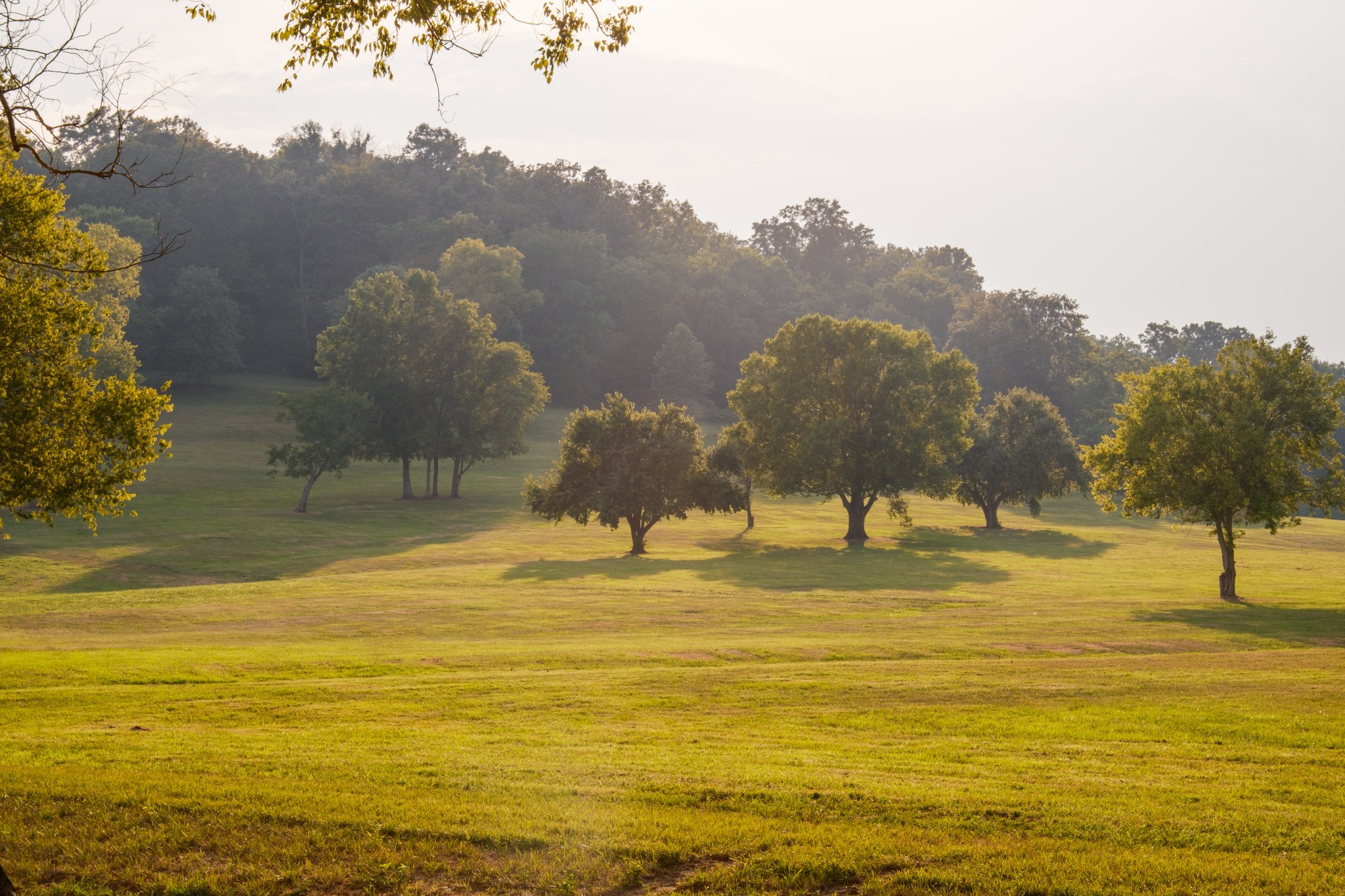 3530 Bailey Road Franklin, TN 37064 - Photo 75 of 99