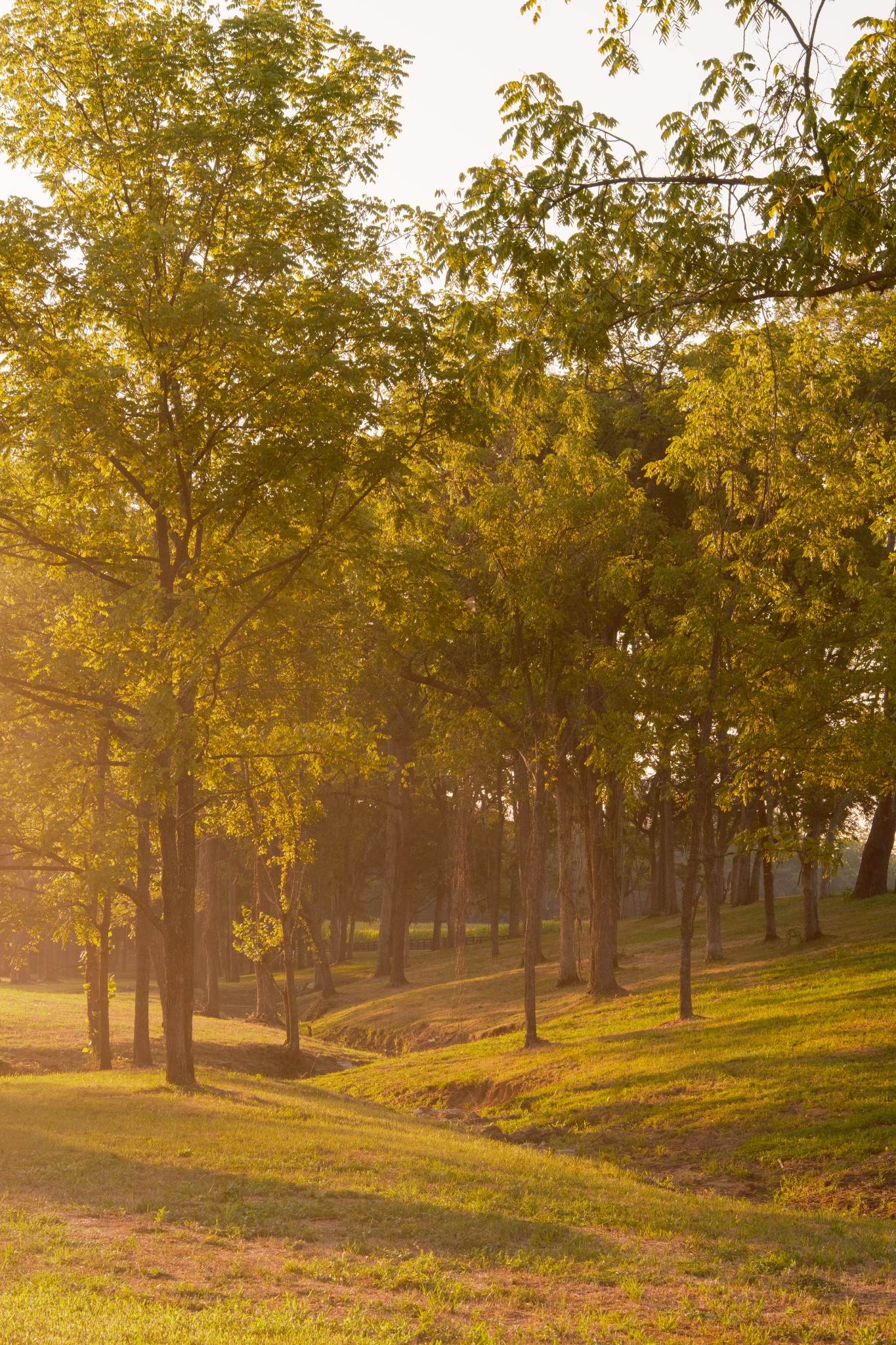 3530 Bailey Road Franklin, TN 37064 - Photo 77 of 99