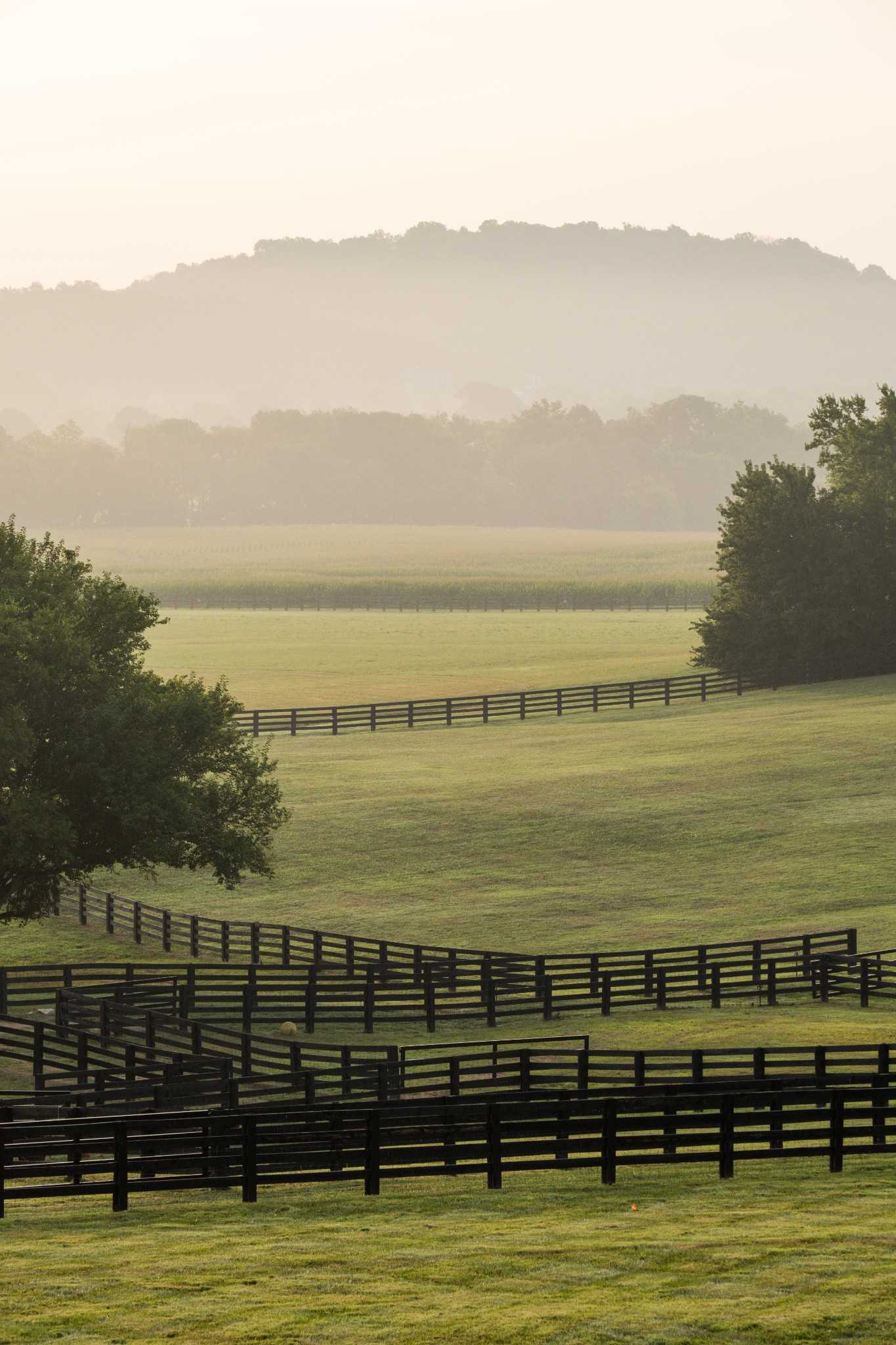 3530 Bailey Road Franklin, TN 37064 - Photo 79 of 99