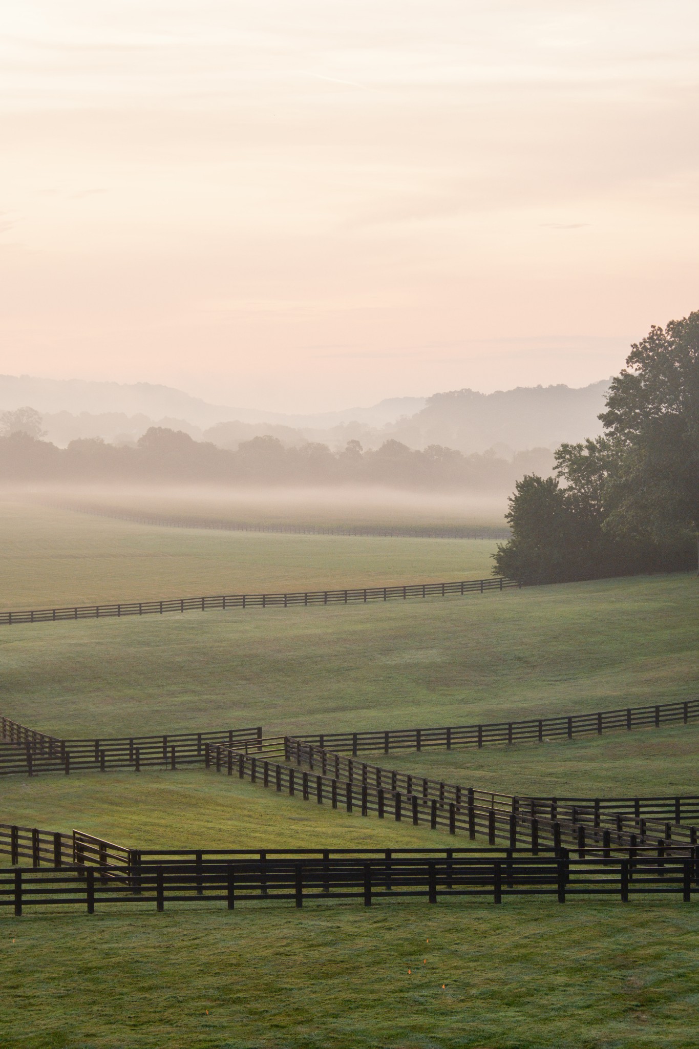 3530 Bailey Road Franklin, TN 37064 - Photo 80 of 99