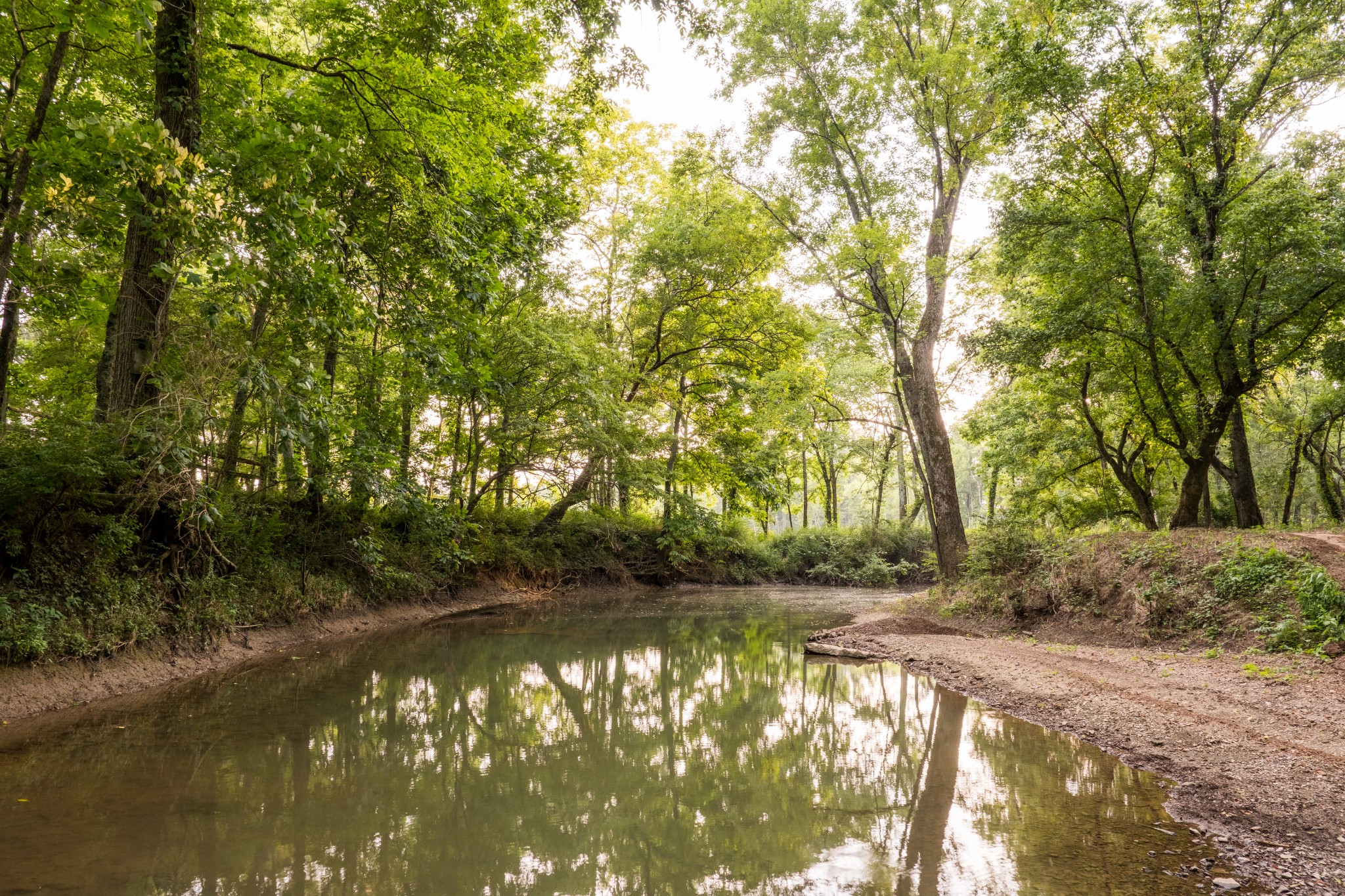 3530 Bailey Road Franklin, TN 37064 - Photo 93 of 99