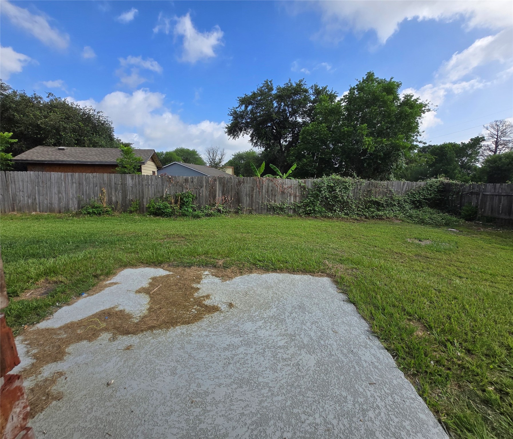 6502 Trail Valley Way Houston, TX 77086 - Photo 24 of 24 a view of a backyard with green space