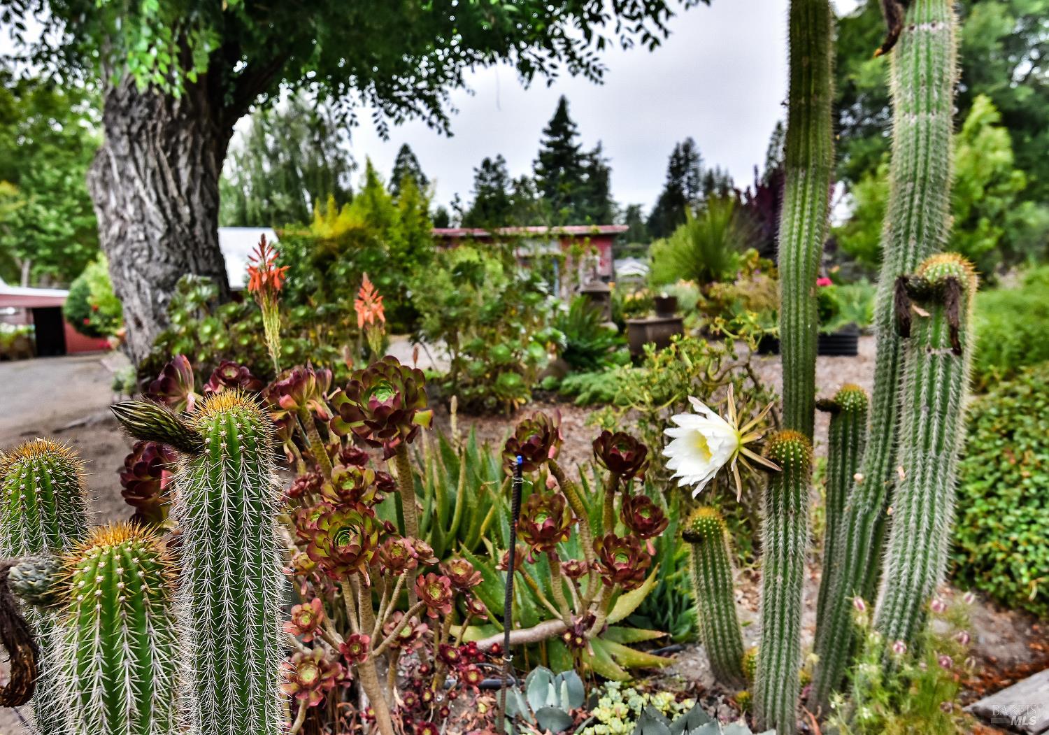 704 Bloomfield Road Sebastopol, CA 95472 - Photo 43 of 47