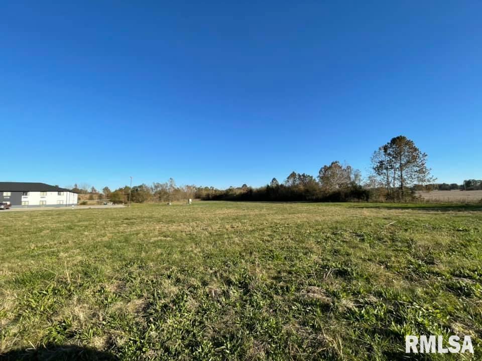 0 Old Metropolis Road Vienna, IL 62995 - Photo 11 of 14