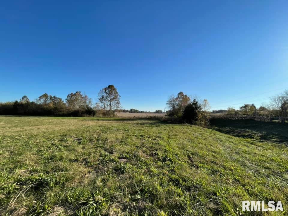 0 Old Metropolis Road Vienna, IL 62995 - Photo 12 of 14