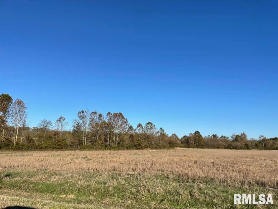 0 Old Metropolis Road Vienna, IL 62995 - Photo 13 of 14