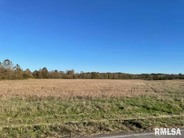 $185,900 | 0 Old Metropolis Road, Vienna, IL 62995