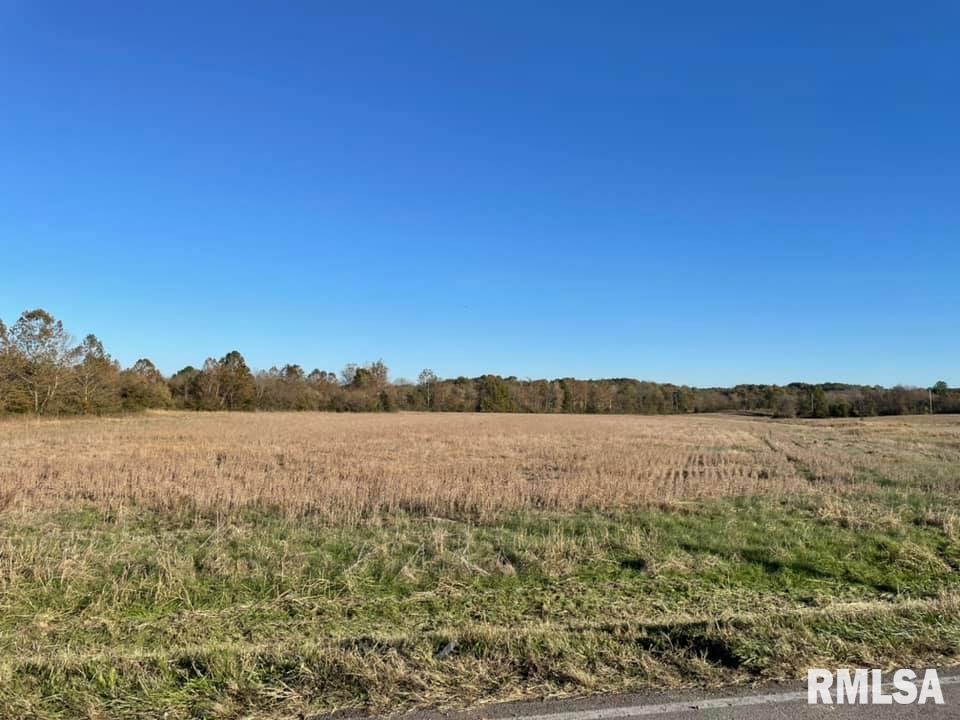 0 Old Metropolis Road Vienna, IL 62995 - Photo 14 of 14