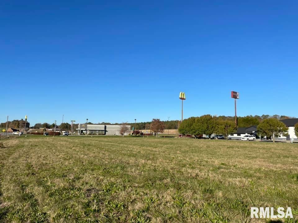 0 Old Metropolis Road Vienna, IL 62995 - Photo 5 of 14