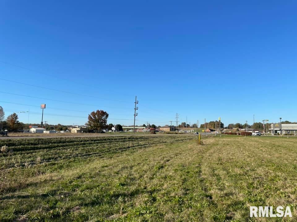 0 Old Metropolis Road Vienna, IL 62995 - Photo 6 of 14