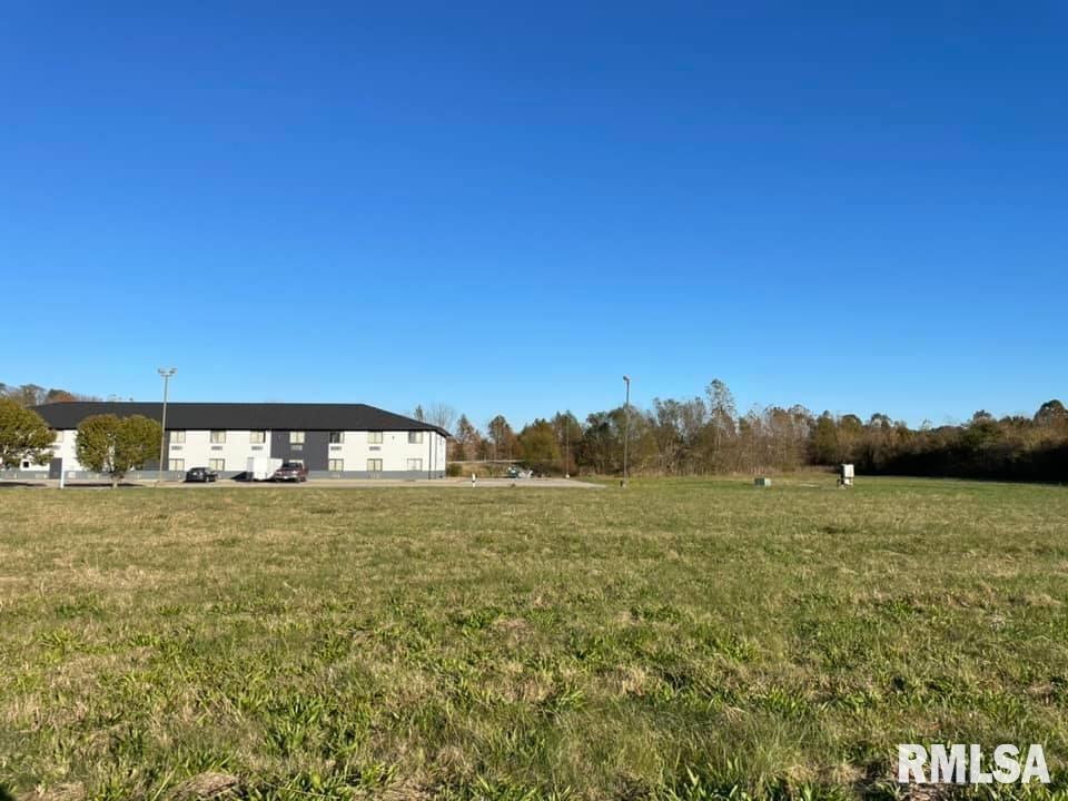 0 Old Metropolis Road Vienna, IL 62995 - Photo 9 of 14