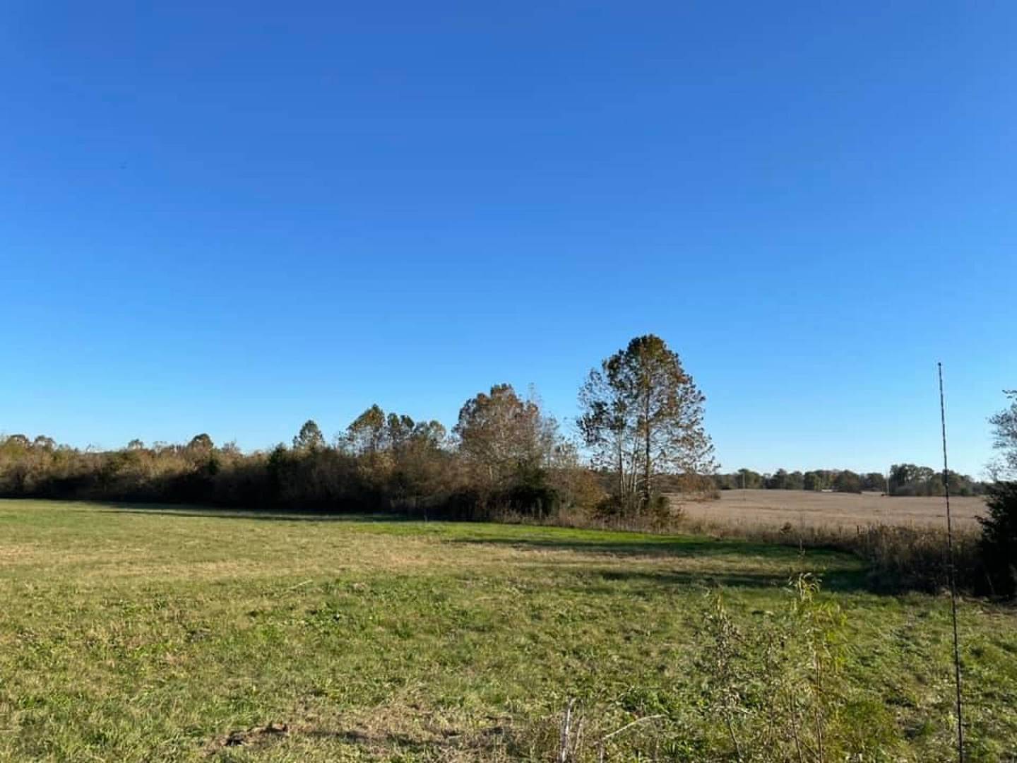 0 Old Metropolis Road Vienna, IL 62995 - Photo 10 of 14