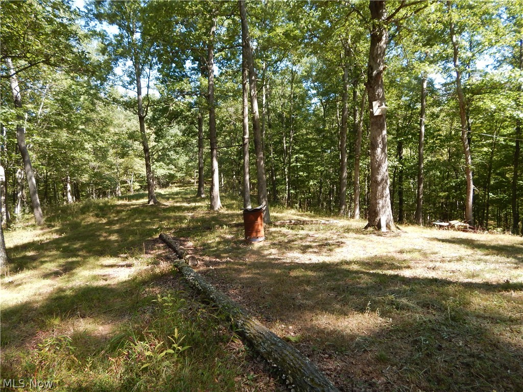 Brushy Fork Road Cairo, WV 26337 - Photo 16 of 29 Gallery Image 16