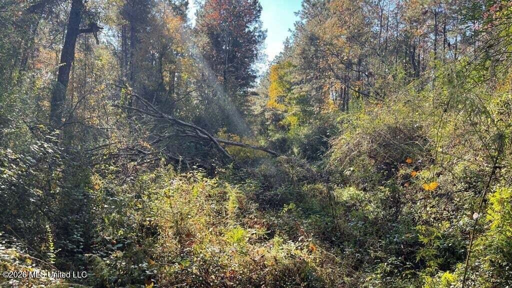 Schmidt Road McComb, MS 39648 - Photo 2 of 10 20250707200533860584000000-o