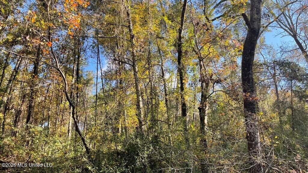 Schmidt Road McComb, MS 39648 - Photo 8 of 10 20250707200531491507000000-o