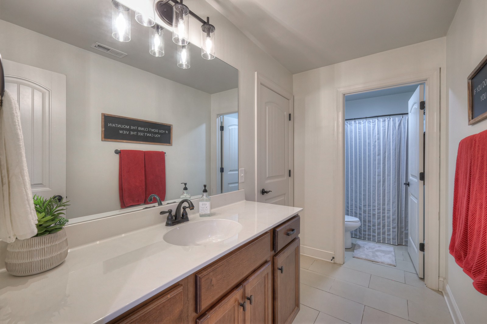 7020 Brindle Ridge Way Spring Hill, TN 37174 - Photo 33 of 42