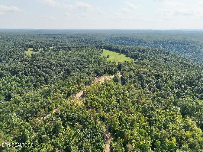 Manson Road Jamestown, TN 38556 - Photo 6 of 20 Beaty Manson 6