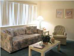 3605 Hwy Santa Rosa Beach, Unit 223 30A Santa Rosa Beach, FL 32459 - Photo 6 of 8 a living room with furniture and a potted plant
