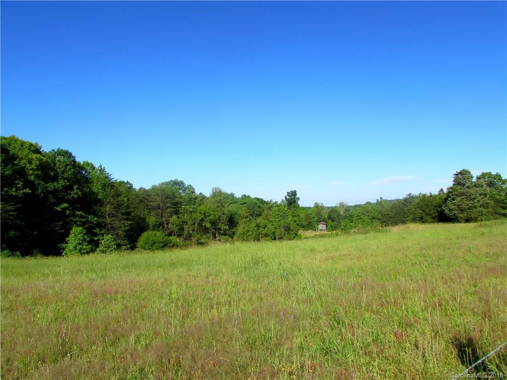 1874 Scenic View Road Hickory Grove, SC 29717 - Photo 18 of 21