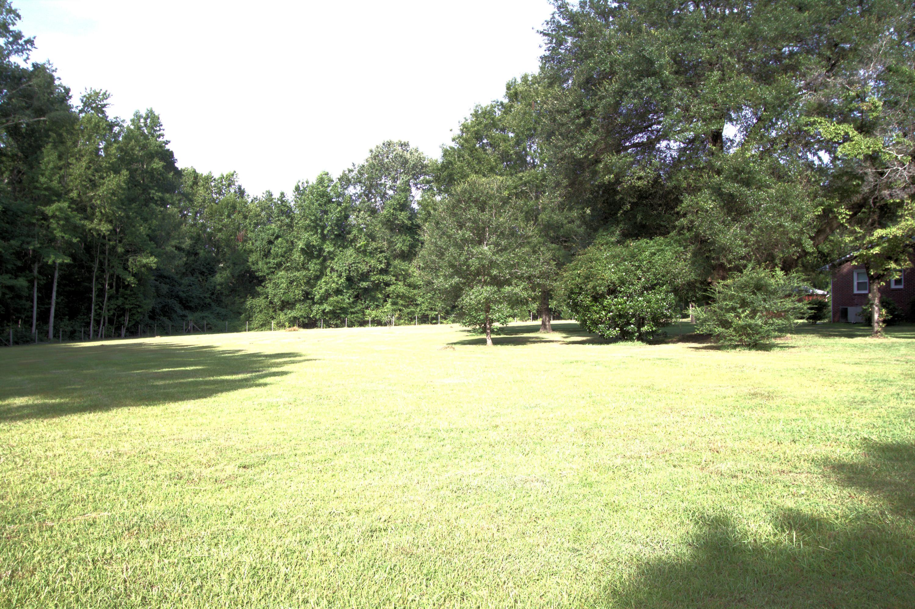 2626 Wesley Grove Road Cottageville, SC 29435 - Photo 11 of 28 Even more yard!!!