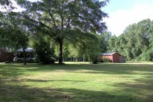 2626 Wesley Grove Road Cottageville, SC 29435 - Photo 3 of 28 Great Big Pecan Producing Tree