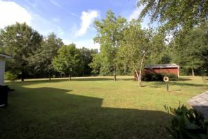2626 Wesley Grove Road Cottageville, SC 29435 - Photo 4 of 28 Yard with work shed