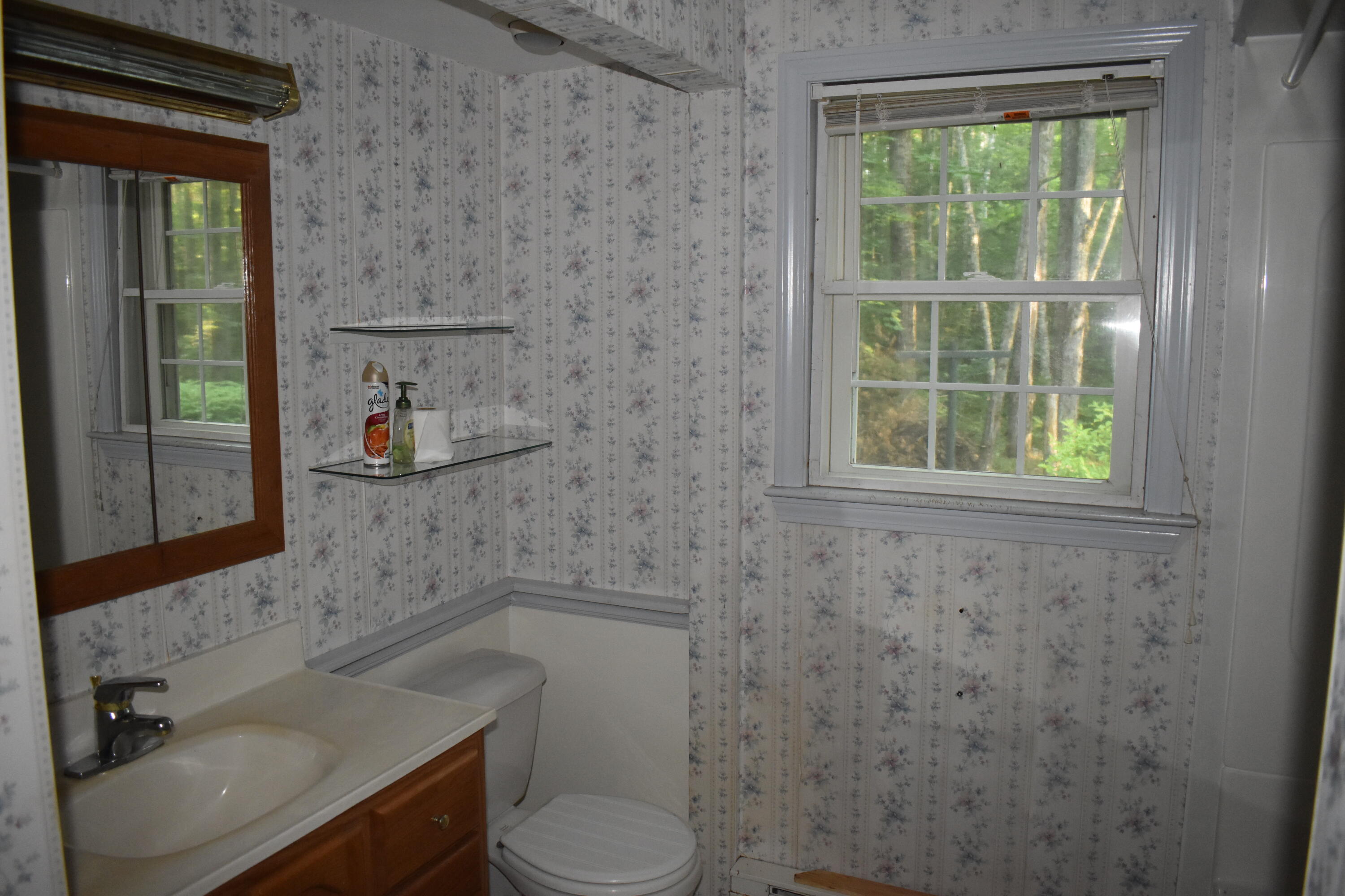 708 Lee Road Lincoln, ME 04457 - Photo 14 of 31 DSC_0015
