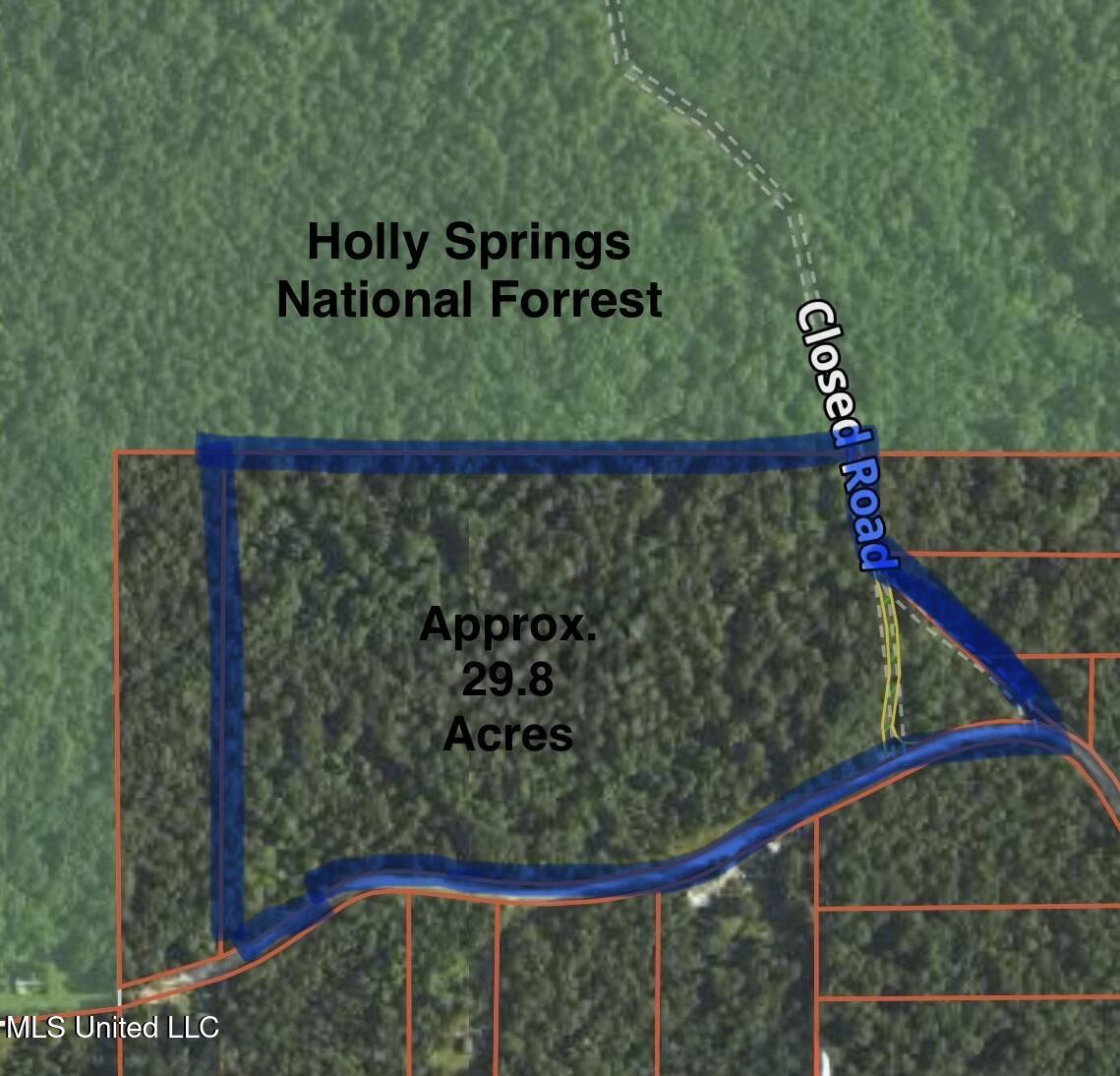 0 Tall Pines Road Ashland, MS 38603 - Photo 11 of 14 IMG_3812