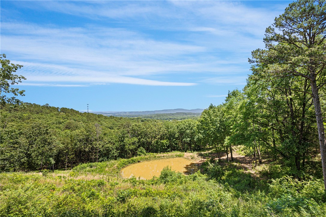 9417 Puddin Ridge Road Ozark, AR 72949 - Photo 9 of 42 Gallery Image 9