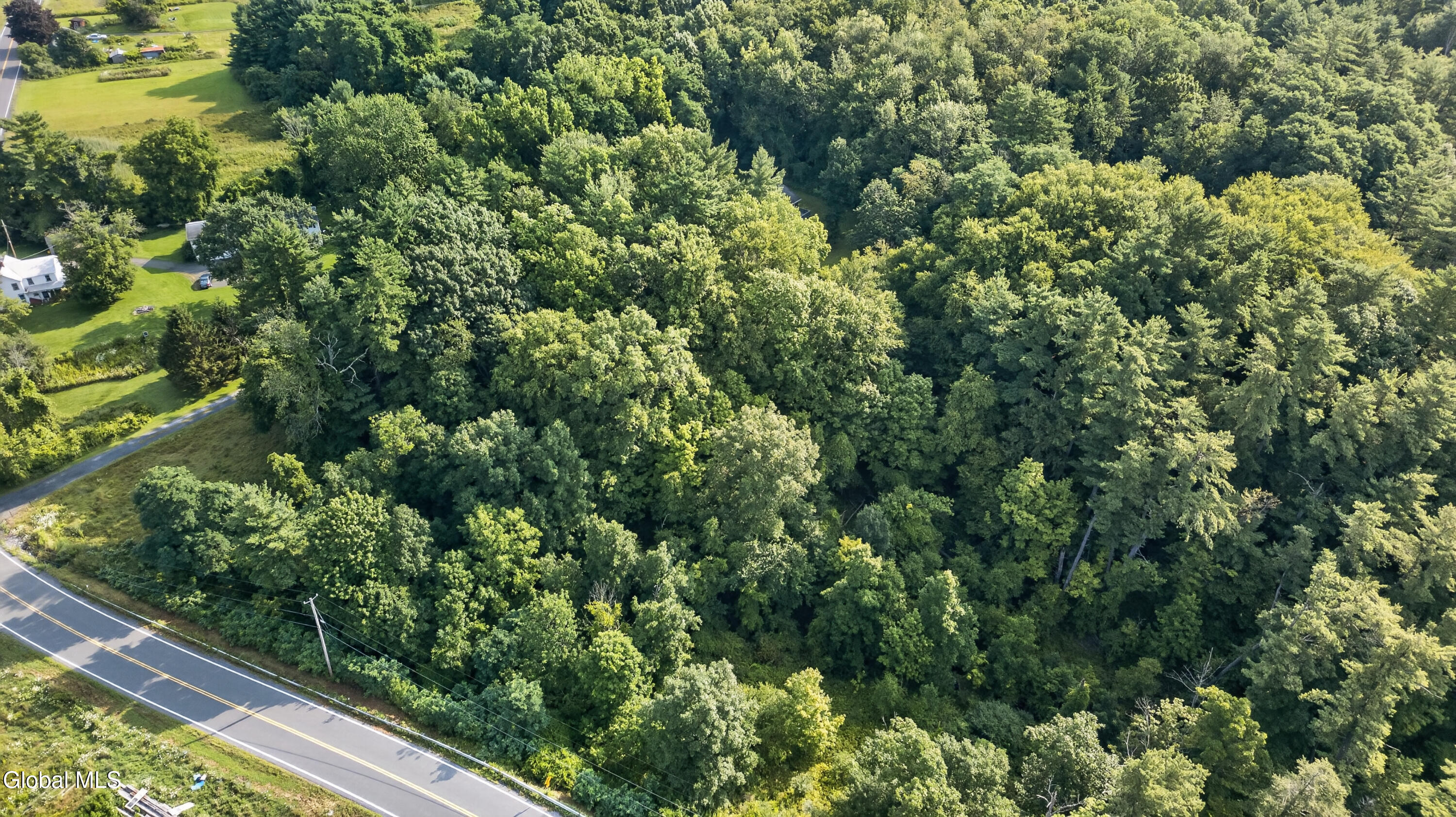 295 Font Grove Road Bethlehem, NY 12159 - Photo 47 of 53 0 Air Front 2