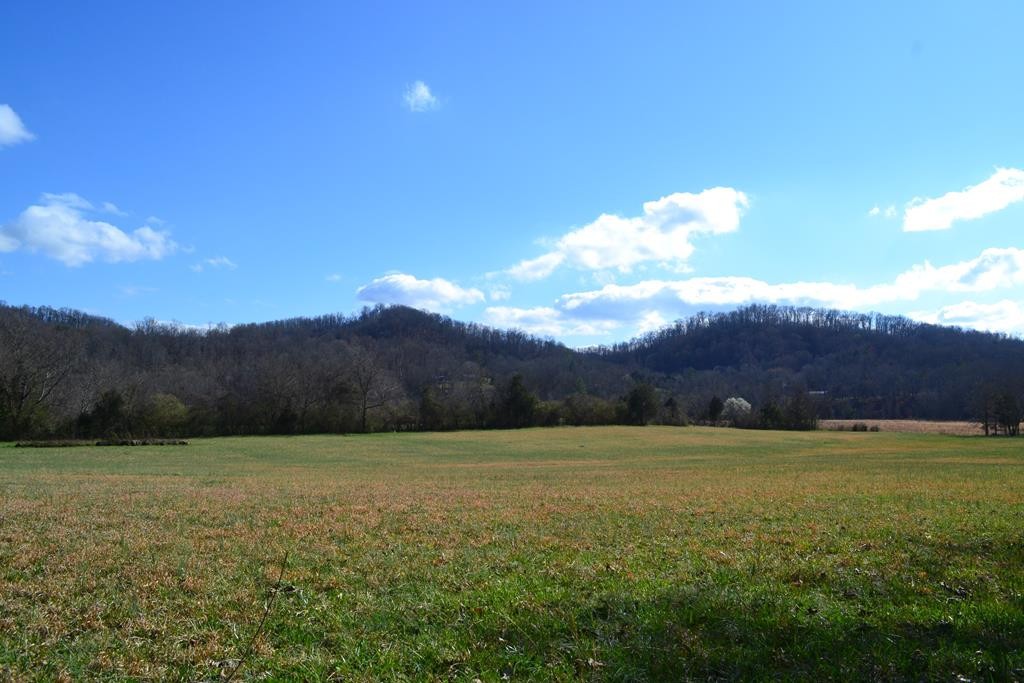 0 Tipton Station Road Knoxville, TN 37920 - Photo 1 of 12