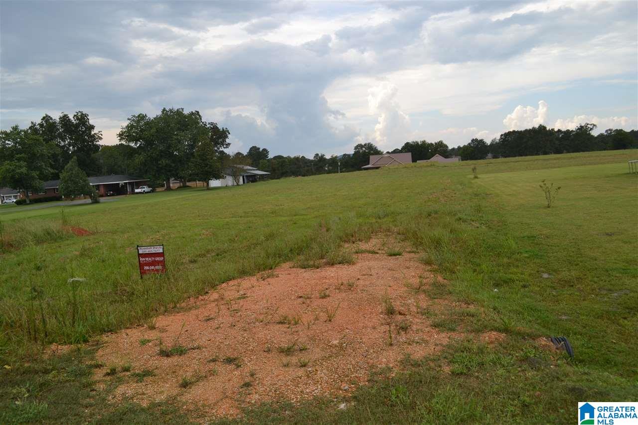 0 Lasseter Road Gadsden, AL 35907 - Photo 7 of 8