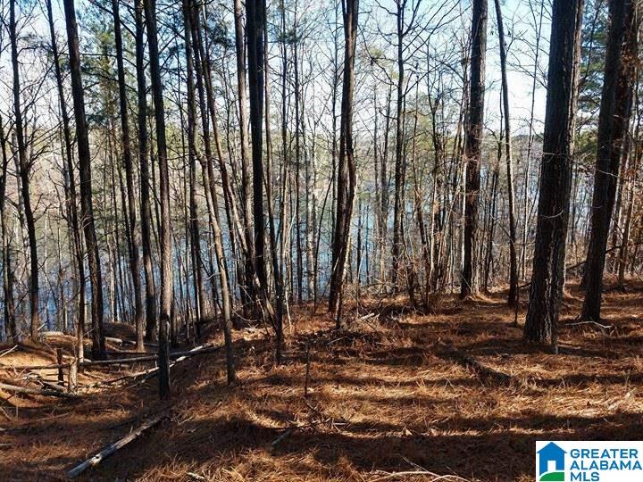 Franklin Ferry Road, Unit 17 Oakman, AL 35579 - Photo 13 of 22