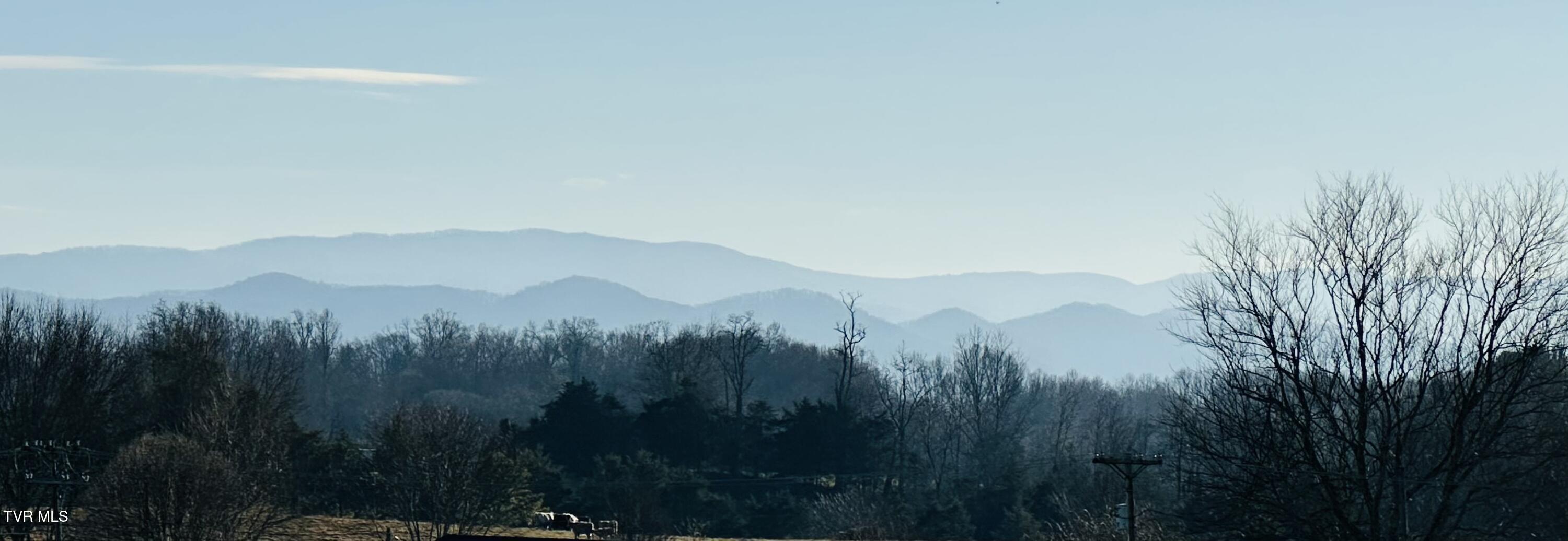 Tbd Old Embreeville Road, Unit 1 Jonesborough, TN 37659 - Photo 6 of 52 FullSizeRender (2)