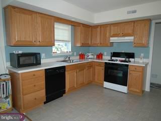 344 Sioux Court Sinking Spring, PA 19608 - Photo 4 of 6