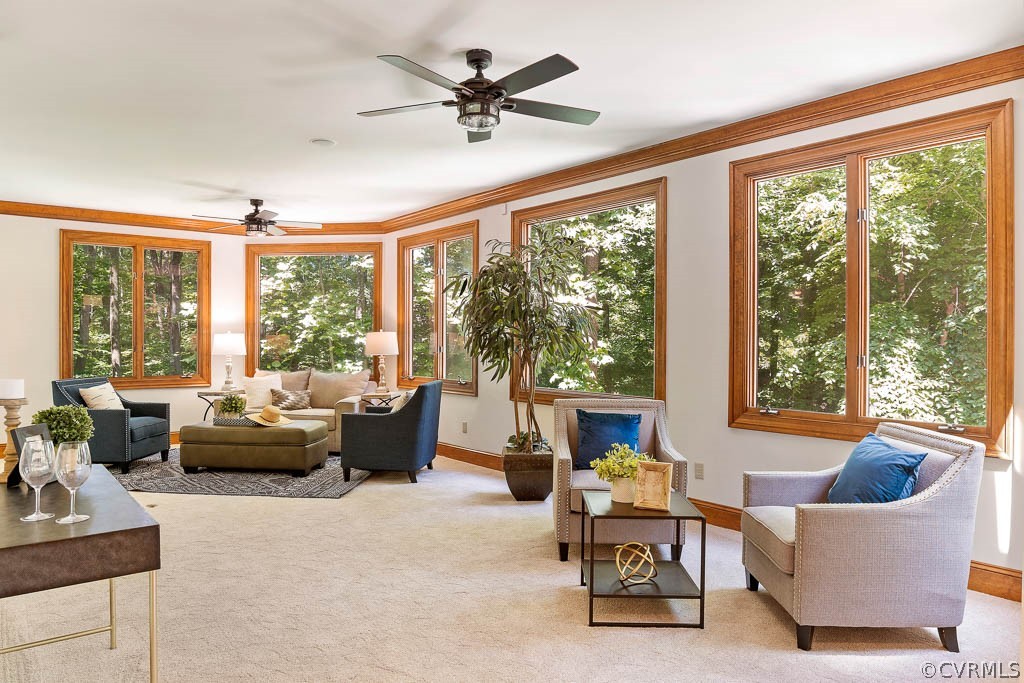 4110 Reeds Landing Circle Midlothian, VA 23113 - Photo 23 of 50 a living room with furniture and a large window