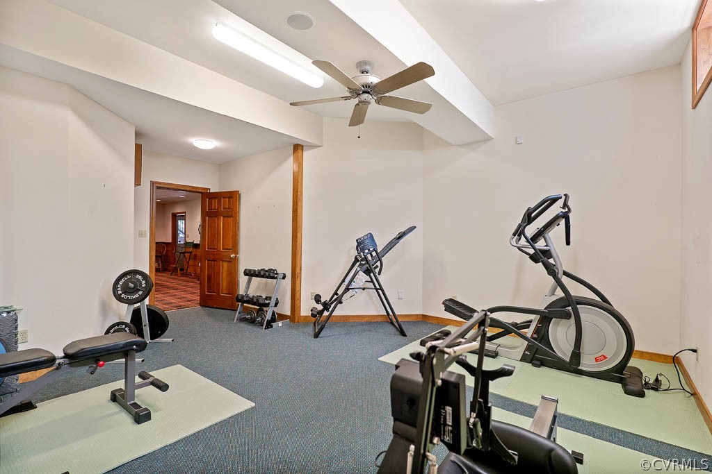 4110 Reeds Landing Circle Midlothian, VA 23113 - Photo 43 of 50 a view of a room with gym equipment