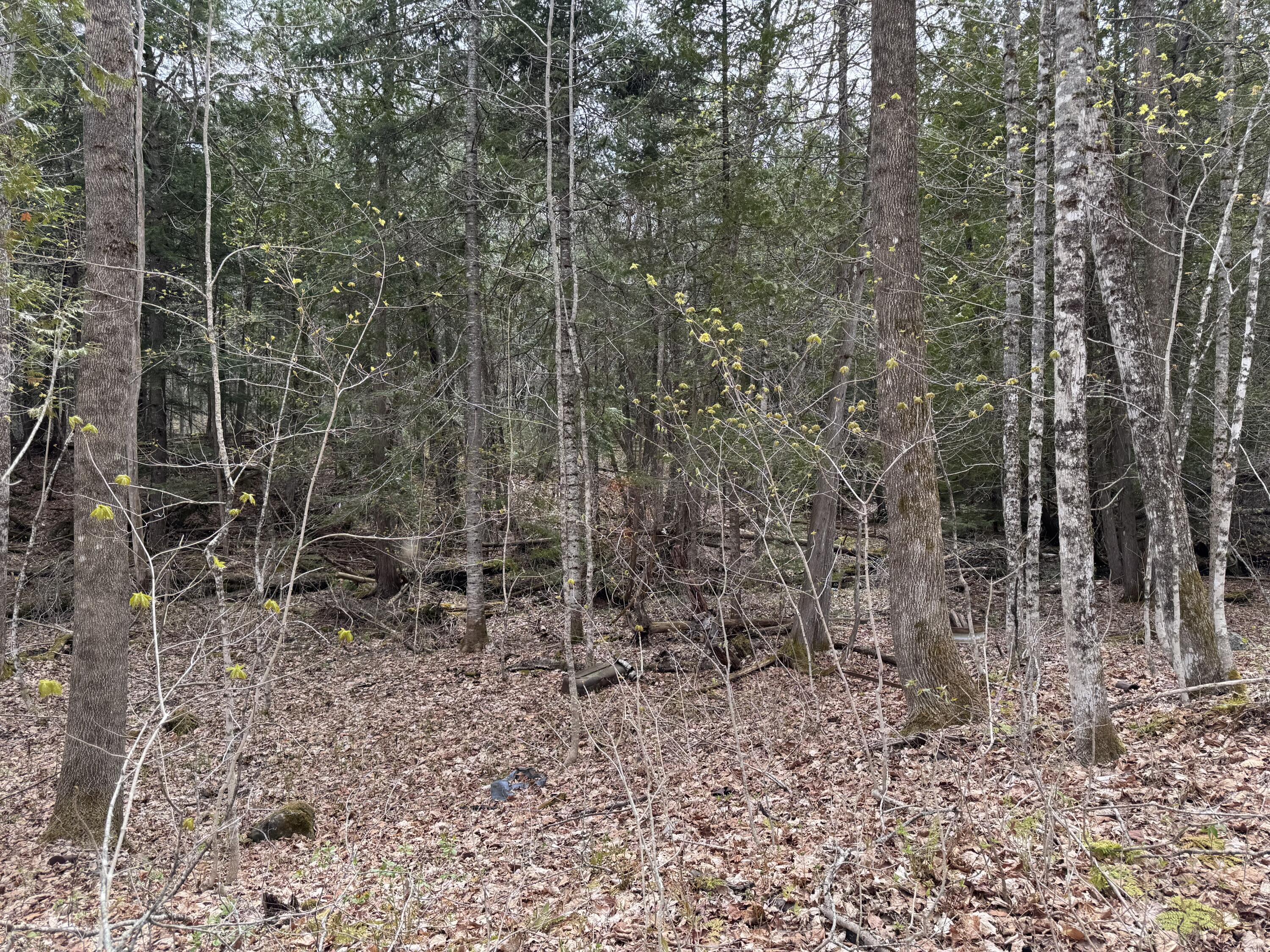 Lot 14-6 North Road Lee, ME 04455 - Photo 11 of 21 IMG_4784