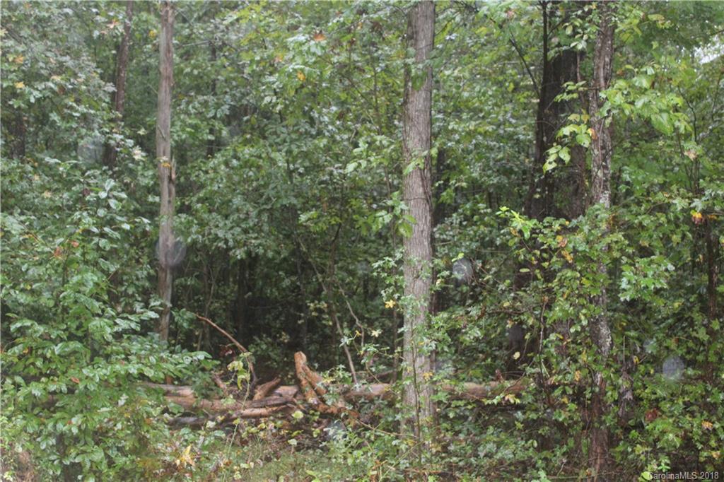 1356 Lee Cudd Road Rutherfordton, NC 28139 - Photo 3 of 5 a view of a forest with trees