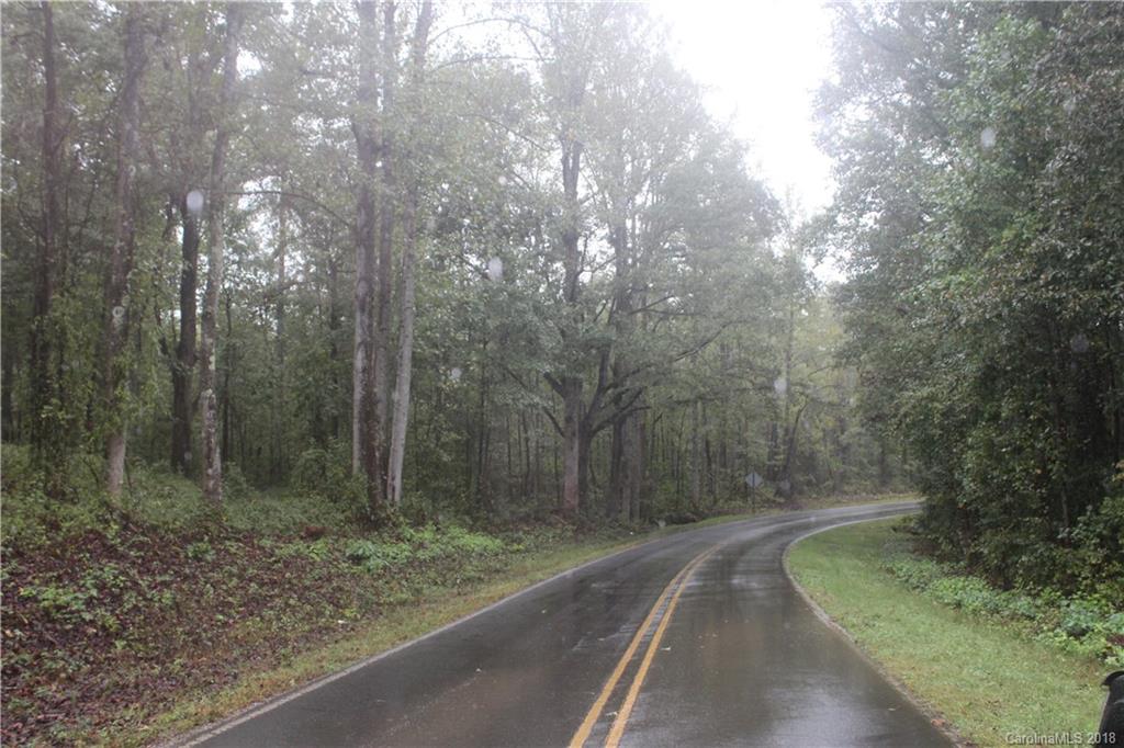 1356 Lee Cudd Road Rutherfordton, NC 28139 - Photo 4 of 5 a view of a forest filled with trees